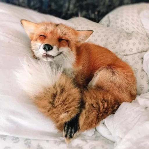 😁 Стикер «Uprt Animals» для Telegram