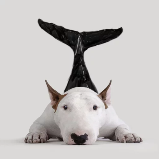 😄 Стикер «Uprt Animals» для Telegram