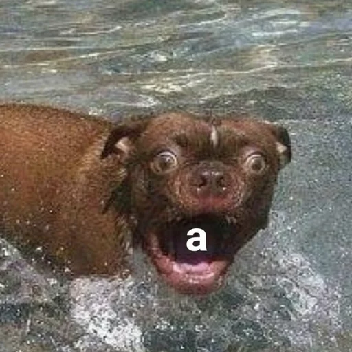 😁 Стикер «Uprt Animals» для Telegram