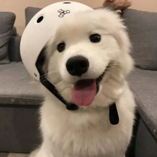 😁 Стикер «Uprt Animals» для Telegram