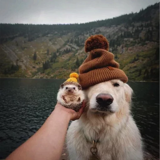 😃 Стикер «Uprt Animals» для Telegram