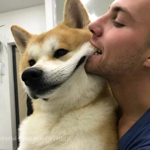 😌 Стикер «Uprt Animals» для Telegram