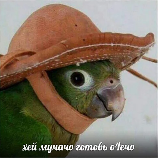 😄 Стикер «Uprt Animals» для Telegram