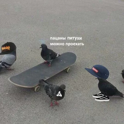 😄 Стикер «Uprt Animals» для Telegram