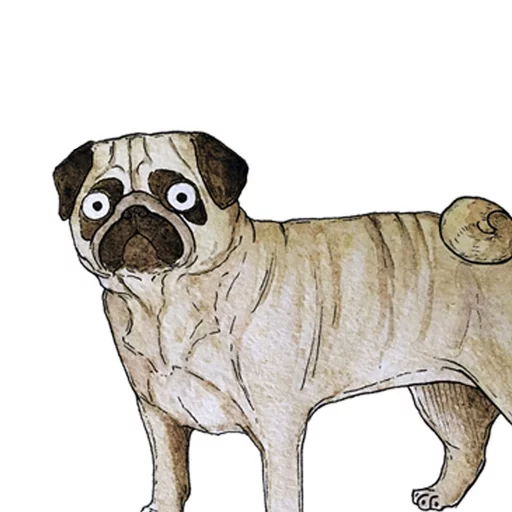 😝 Стикер «Uprt Animals» для Telegram