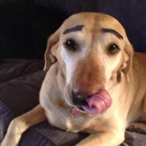 😄 Стикер «Uprt Animals» для Telegram