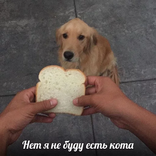 😁 Стикер «Uprt Animals» для Telegram