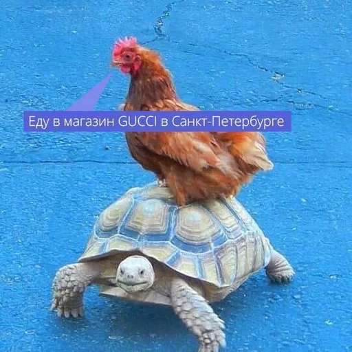 😁 Стикер «Uprt Animals» для Telegram
