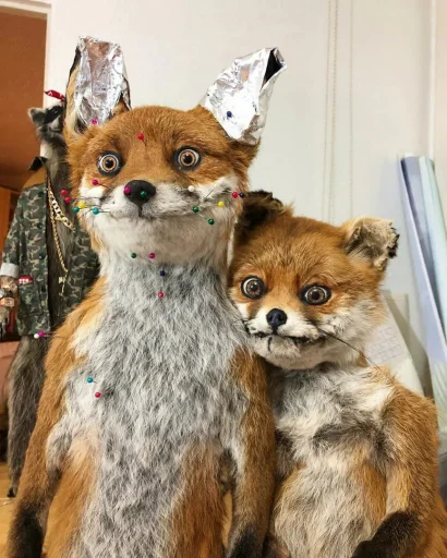 😘 Стикер «Fox» для Telegram