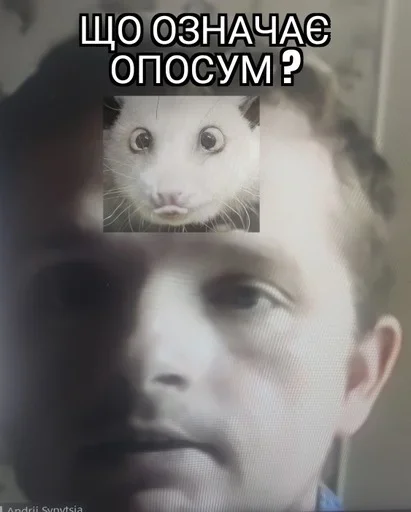 🐁 Стикер «ЮРД-1Ж» для Telegram
