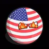 Стикер 12 Usa Countryballs