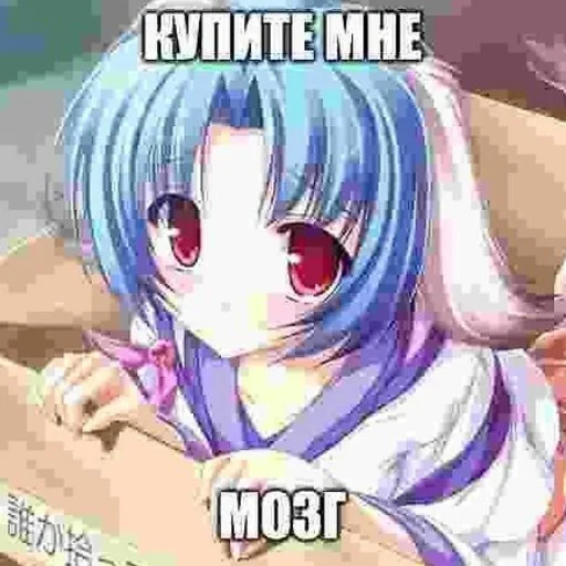 💸 Стикер «Котик плачет» для Telegram