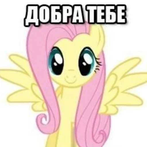🥰 Стикер «Котик плачет» для Telegram