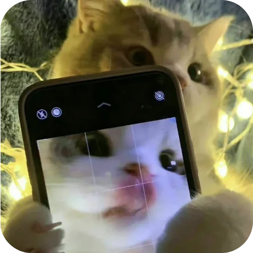 🤳 Стикер «Животинки» для Telegram