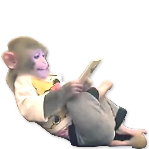 🐒 Стикер «Monkeys Обезьяны» для Telegram