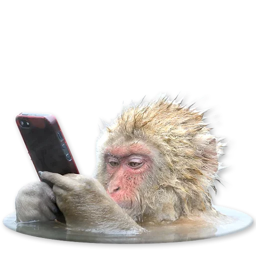 Стикерпак Monkeys Обезьяны для Telegram