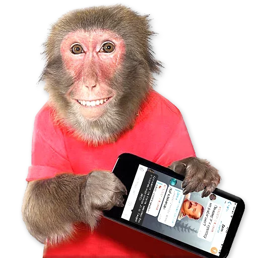 🐒 Стикер «Monkeys Обезьяны» для Telegram