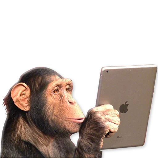 🐒 Стикер «Monkeys Обезьяны» для Telegram