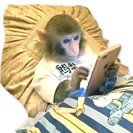 🐒 Стикер «Monkeys Обезьяны» для Telegram
