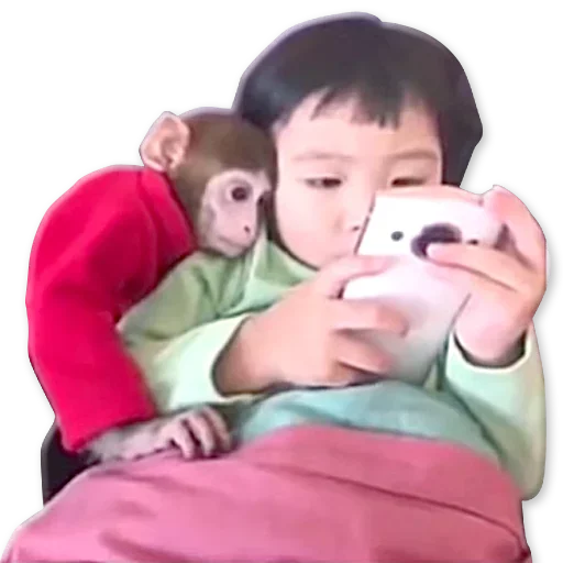 🐒 Стикер «Monkeys Обезьяны» для Telegram
