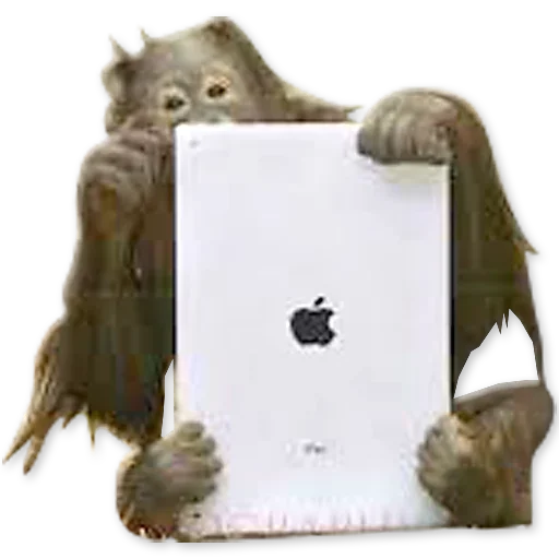 🐒 Стикер «Monkeys Обезьяны» для Telegram