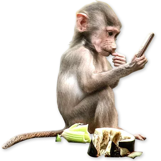 🐒 Стикер «Monkeys Обезьяны» для Telegram