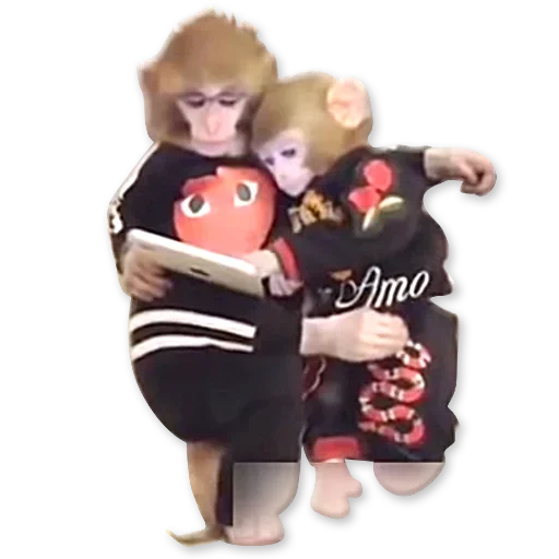 🐒 Стикер «Monkeys Обезьяны» для Telegram