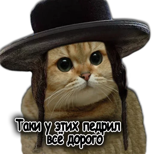 😙 Стикер «Ушки Лапы Хвост» для Telegram