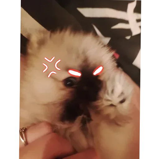 😡 Стикер «Мемы Ezart_» для Telegram