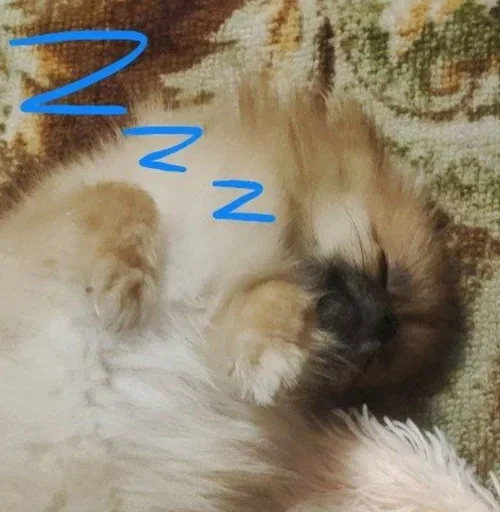 😴 Стикер «Мемы Ezart_» для Telegram