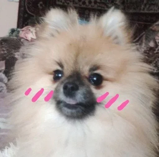 ☺ Стикер «Мемы Ezart_» для Telegram
