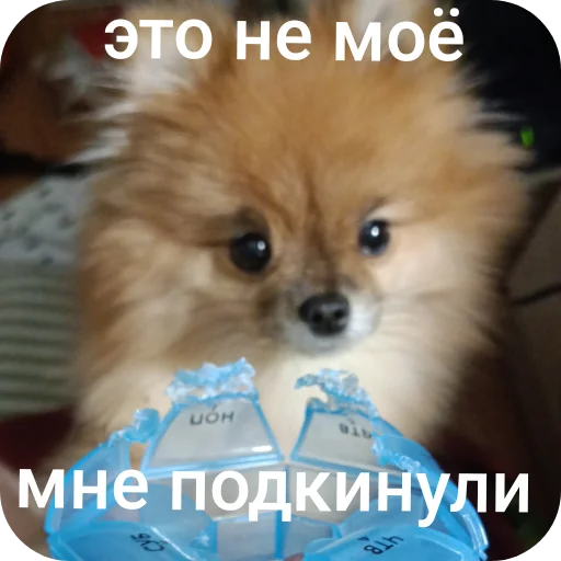 ✋ Стикер «Мемы Ezart_» для Telegram
