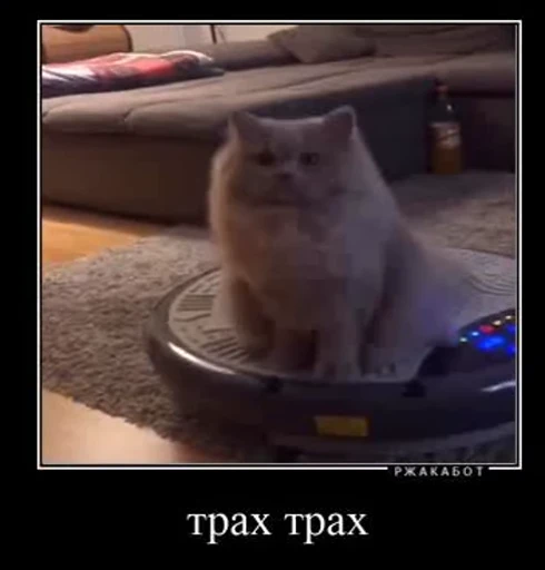 🥴 Стикер «Успех 2» для Telegram