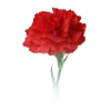 Стикер 28 9 Мая День