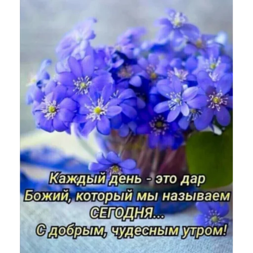 🌞 Стикер «Ватсап Доброе утро» для Telegram