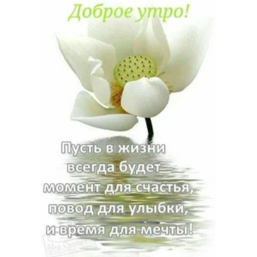 🌞 Стикер «Ватсап Доброе утро» для Telegram