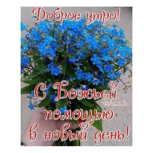 🌞 Стикер «Ватсап Доброе утро» для Telegram