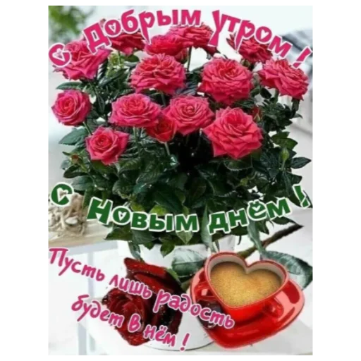🌞 Стикер «Ватсап Доброе утро» для Telegram