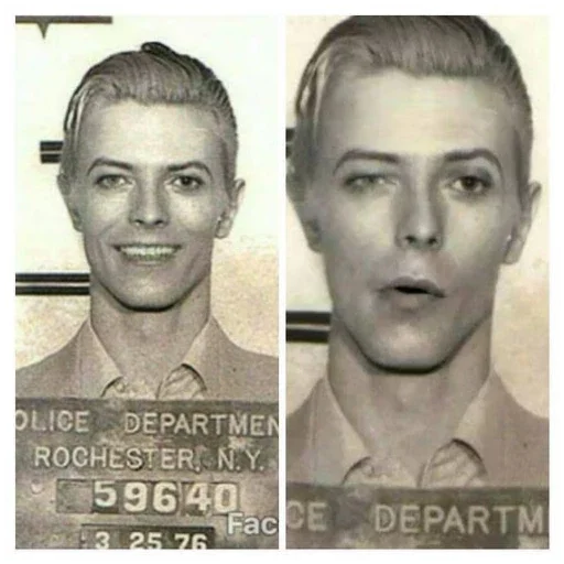 😜 Стикер «David Bowie 4 Дэвид Боуи» для Telegram