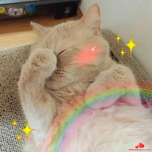 💗 Стикер «cutie phrases» для Telegram