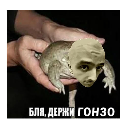 🐸 Стикер «??UZB×stickers?‍?» для Telegram