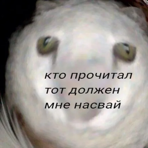 🦛 Стикер «??UZB×stickers?‍?» для Telegram