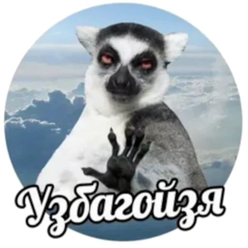 🤚 Стикер «УЗБАГОЙСЯ» для Telegram