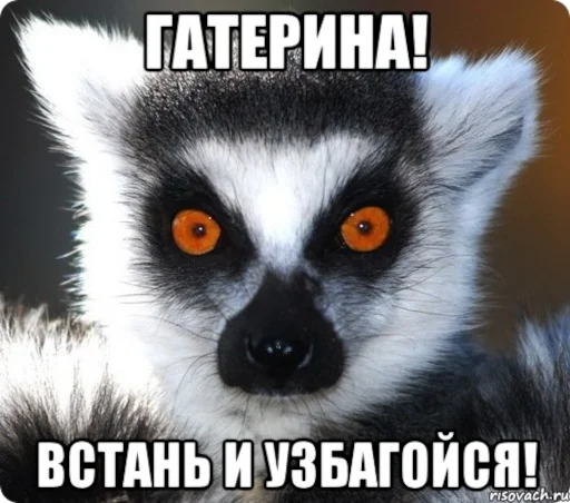 😳 Стикер «УЗБАГОЙСЯ» для Telegram