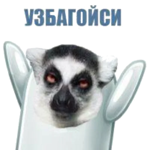 🤡 Стикер «УЗБАГОЙСЯ» для Telegram