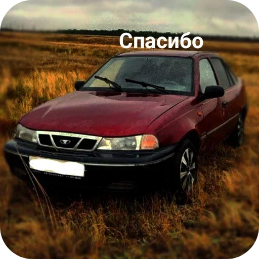 😌 Стикер «пиарим хлам» для Telegram