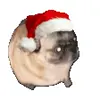 Обложка набора New year #newyear #other #cute