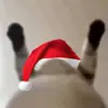 Стикер 12 New year #newyear #other #cute