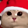 Стикер 23 New year #newyear #other #cute