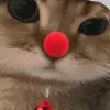 Стикер 26 New year #newyear #other #cute